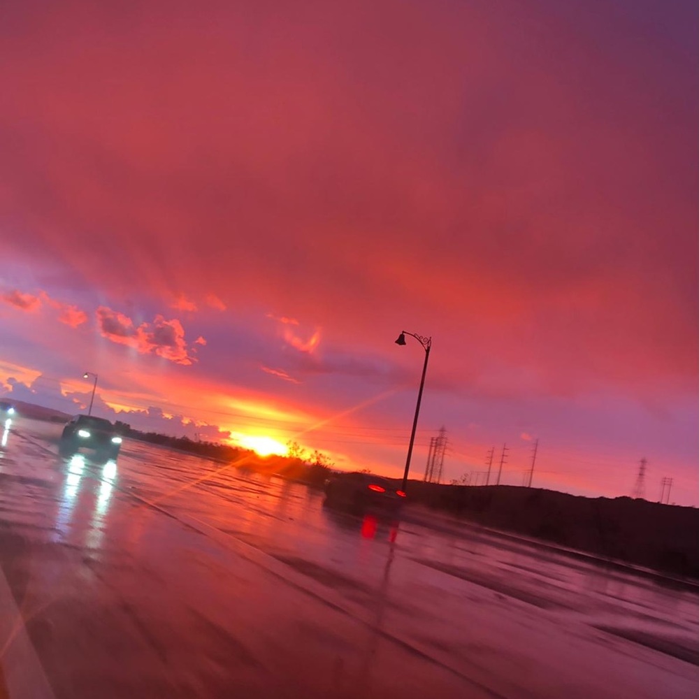 Meet your Posher, Bushie